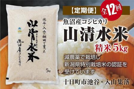 精米5kg　新潟県魚沼産コシヒカリ「山清水米」