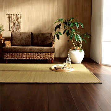 日本 IKEHIKO池彥 藺草地毯BeeGu 沖繩藺草 極簡侘寂靜謐風格 - 128x200x0.6cm