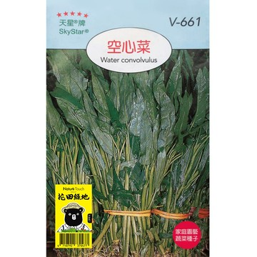 花田綠地種子-空心菜