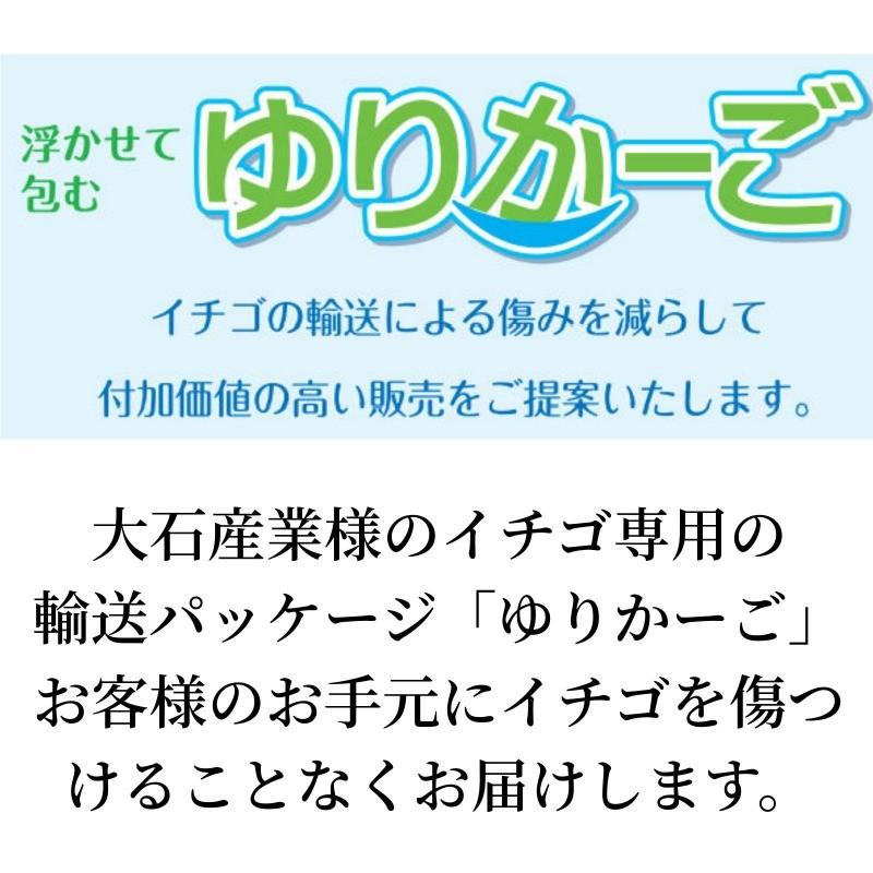 まりひめ ギフト用 400g×1箱 和歌山県産 いちご 紀のベリー