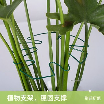 購滿99出貨 高品質 植物支撐杆花架龜背竹倒伏支架固定花架子綠植支撐架花卉