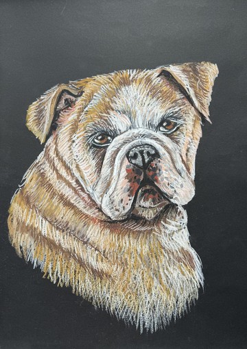 繪畫英國鬥牛犬肖像鬥牛犬藝術油畫棒畫狗