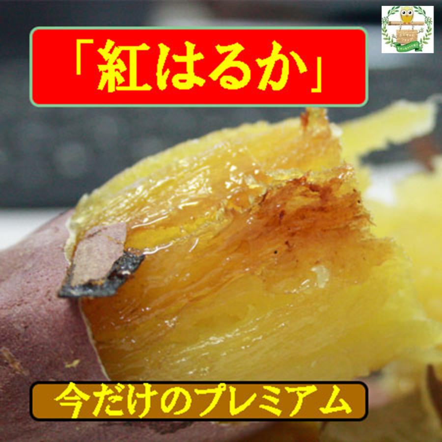 鹿児島県産さつまいも　紅はるか　LLサイズ以上　2023・07月）３kg