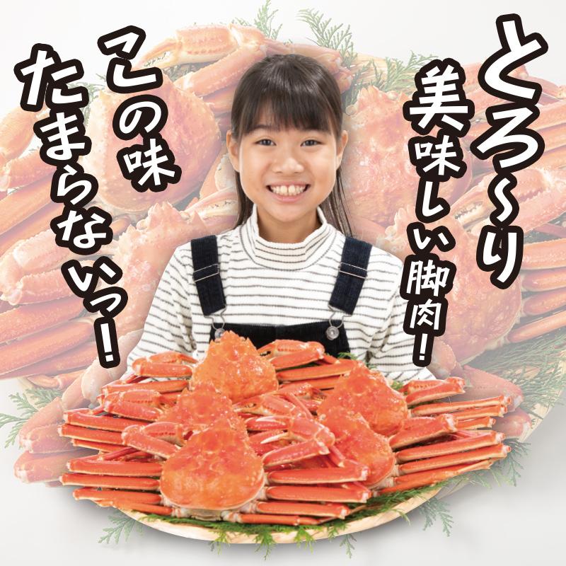 ボイル ずわいがに 姿 3kg（5〜6尾）| 生食用 ズワイガニ ボイル済み 冷凍 カナダ産