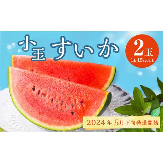 ふるさと納税 熊本県 熊本市 熊本県産 小玉すいか 2玉 スイカ 果物 フルーツ くだもの 西瓜