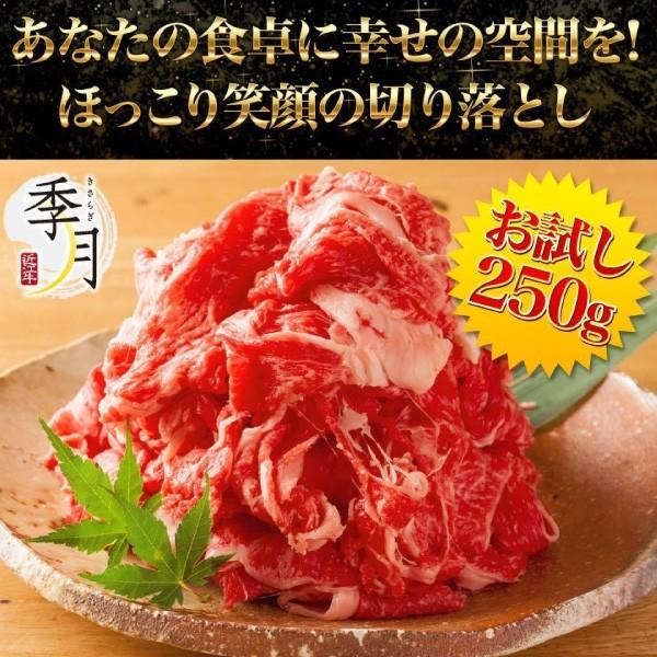 牛匠のこま切れ 訳あり 端っこ 牛肉 250g 訳あり 888円  黒毛和牛 250gパック