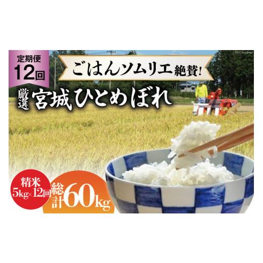 ふるさと納税 宮城県 加美町 米 『定期便』厳選宮城ひとめぼれ 精米5kg 全12回 [菅原商店 宮城県 加美町 44580971]