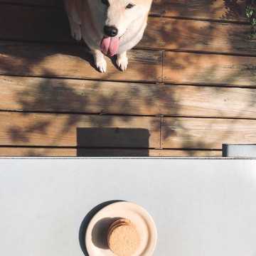 達克瓦茲/Dacquoise - 午後果香六入禮盒