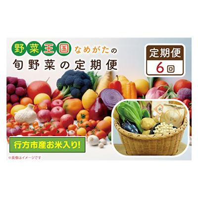 ふるさと納税 行方市 野菜王国なめがたの旬野菜の定期便(米入り)CU-137 全6回