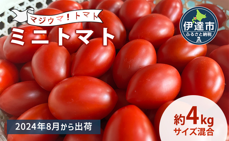 ◆2024年8月より順次出荷◆北海道 伊達 岡本園芸 ミニトマト 高糖度 約4kg