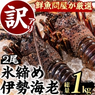 ＜訳あり＞朝獲れ発送！鮮魚問屋が厳選した氷締め伊勢海老(2尾・総量1kg以上)