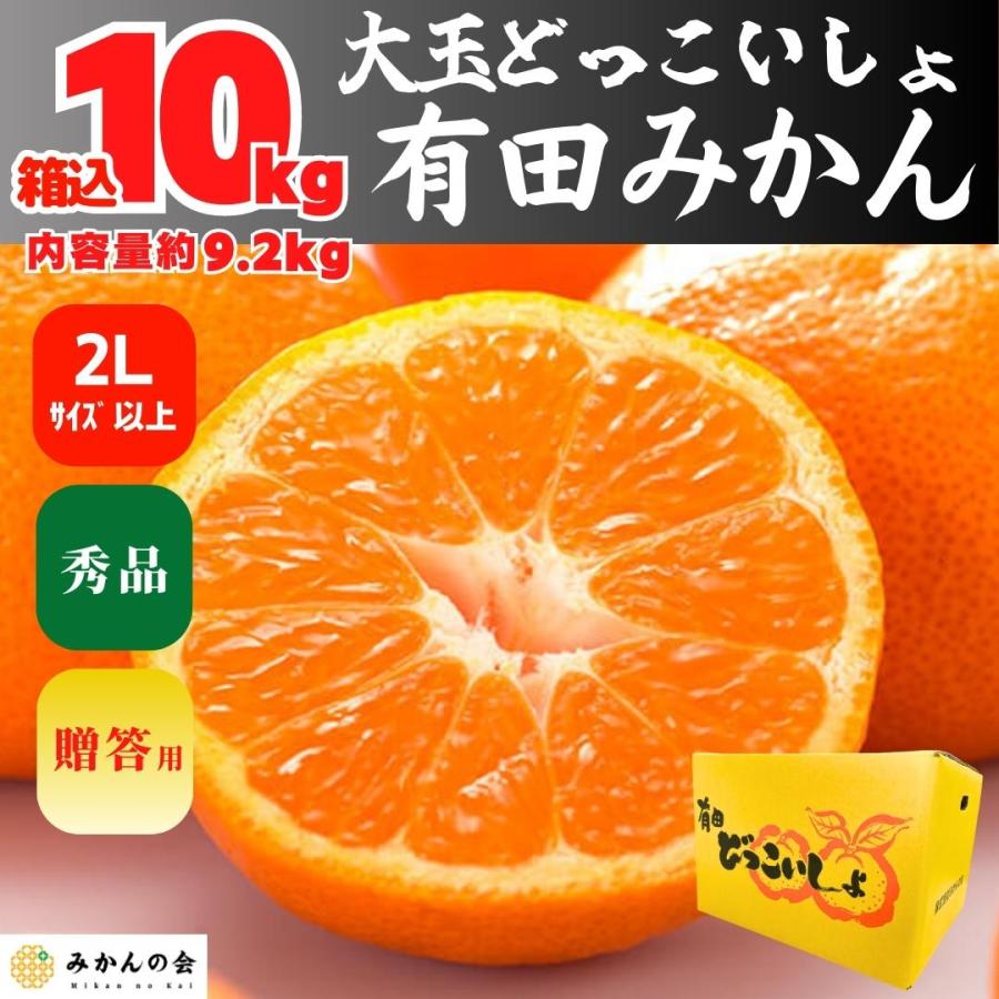 みかん  大玉 どっこいしょ 箱込 10kg 内容量 9.2kg 2Lサイズ以上 秀品 有田みかん 和歌山県産 産地直送 贈答用