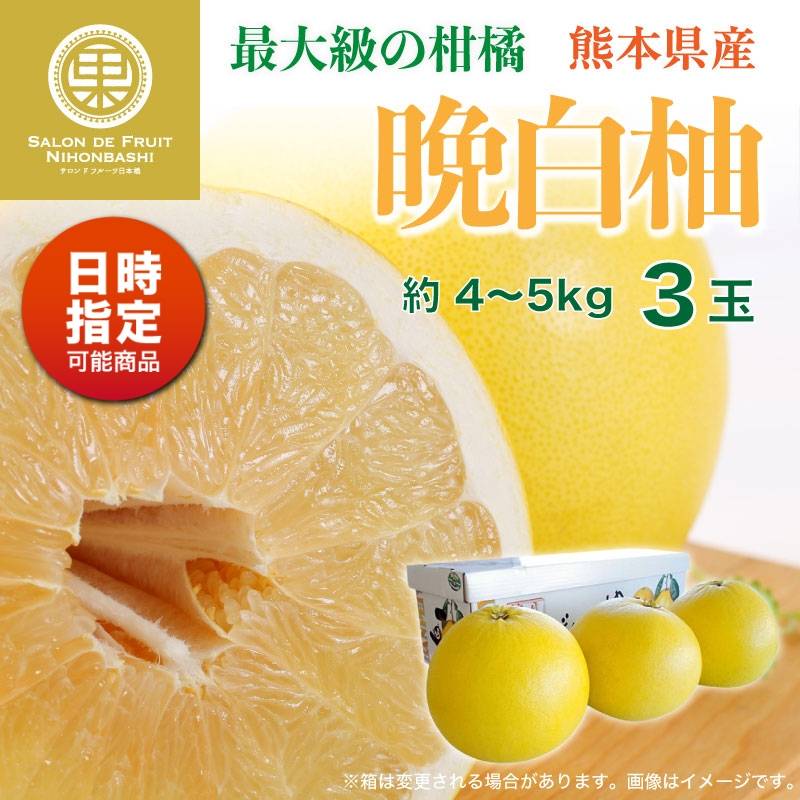 [予約 11月20日-12月31日の納品] 晩白柚 3玉 約4～5kg 熊本県八代産 化粧箱 最大級の柑橘フルーツ 柑橘の王様 柑橘  冬ギフト お歳暮 御歳暮