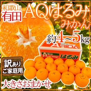 和歌山有田産 ”AQはるみみかん” 訳あり 約4～5kg 大きさおまかせ 送料無料