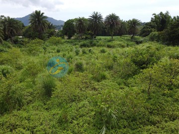 大溪區溪州近露營區方正農地可蓋農舍｜桃園市大溪區福山段