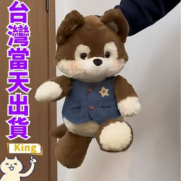 【台灣出貨】跑跑狐狸娃娃 狐狸玩偶 狐狸娃娃 森林跑跑狐狸系列 公仔 玩偶 毛絨娃娃 卡通動物玩偶 陪睡玩偶 禮物 公仔