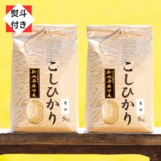 南魚沼産コシヒカリ(玄米10kg)新潟県の美味しいお米