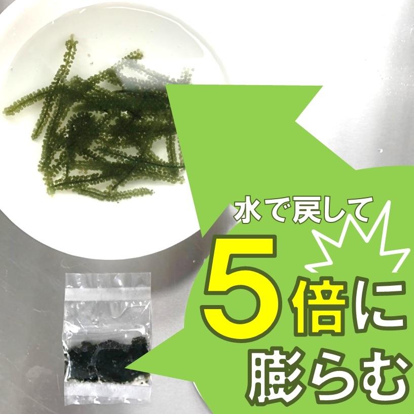 5倍に膨らむ海ぶどう 20ｇ10袋入 X1パック 無農薬 自然栽培 扱いやすく賞味期限も長い 体積5倍重さ2倍に膨らむ