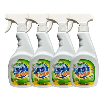 【環寶靈】海鹽去汙專家500ml (4入)