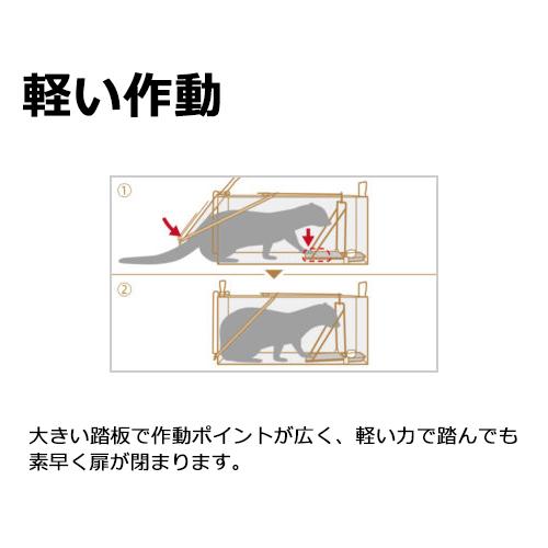 栄工業 栄ヒルズ 中型獣捕獲器 TN-5 Dtype NO.305