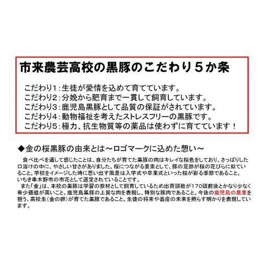 ふるさと納税 鹿児島県 いちき串木野市 A-616 高校生が育てた金の桜黒豚丼 180g×６袋