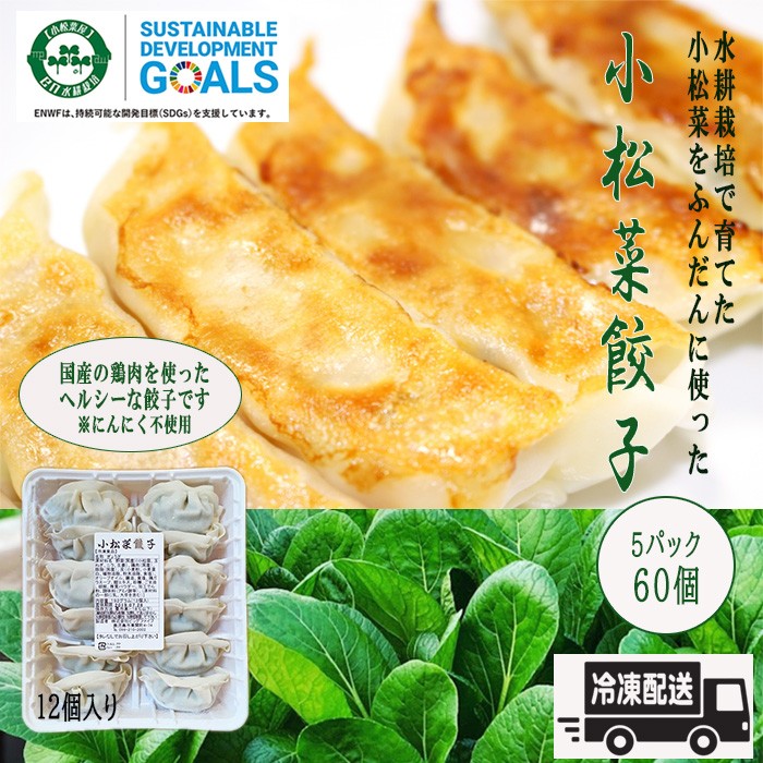 ※送料無料※EN WATER FARMS　水耕栽培　鹿児島県産小松菜　ギョーザ　国産　鶏肉　にんにく不使用　ヘルシー　冷凍　生餃子　5パックセット 60個