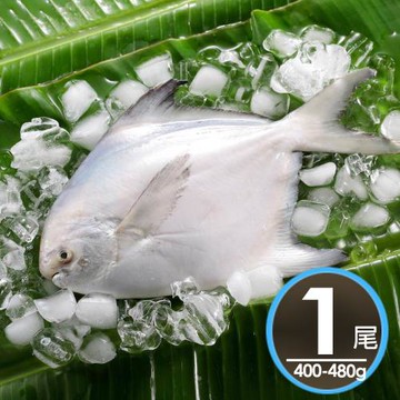華得水產 鮮嫩野生白鯧魚4件(400-480g/尾)