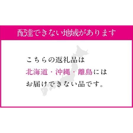 ふるさと納税 桃 2024年 先行予約 岡山の白桃 250g以上×6玉 白桃 旬 みずみずしい 晴れの国 おかやま 岡山県産 フルーツ王国 果物王国 岡山県瀬戸内市