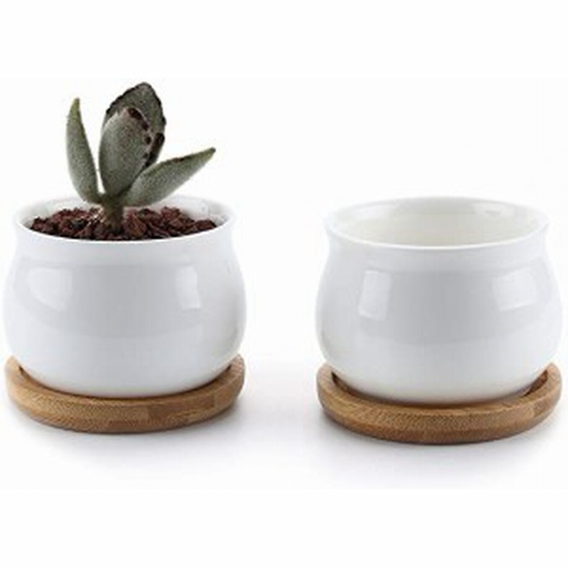 7cm 植木鉢 多肉植物鉢 サボテン鉢 陶器鉢 プランター 容器 底穴付き 竹トレー付き 2個入り 白 通販 Lineポイント最大1 0 Get Lineショッピング