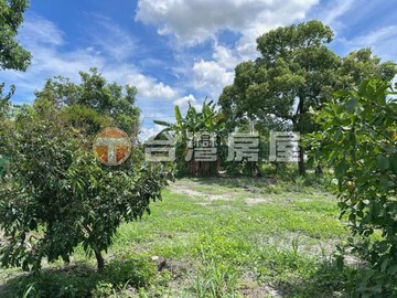 ✨️香香姐~后里城郊小農地｜台中市后里區新公館段
