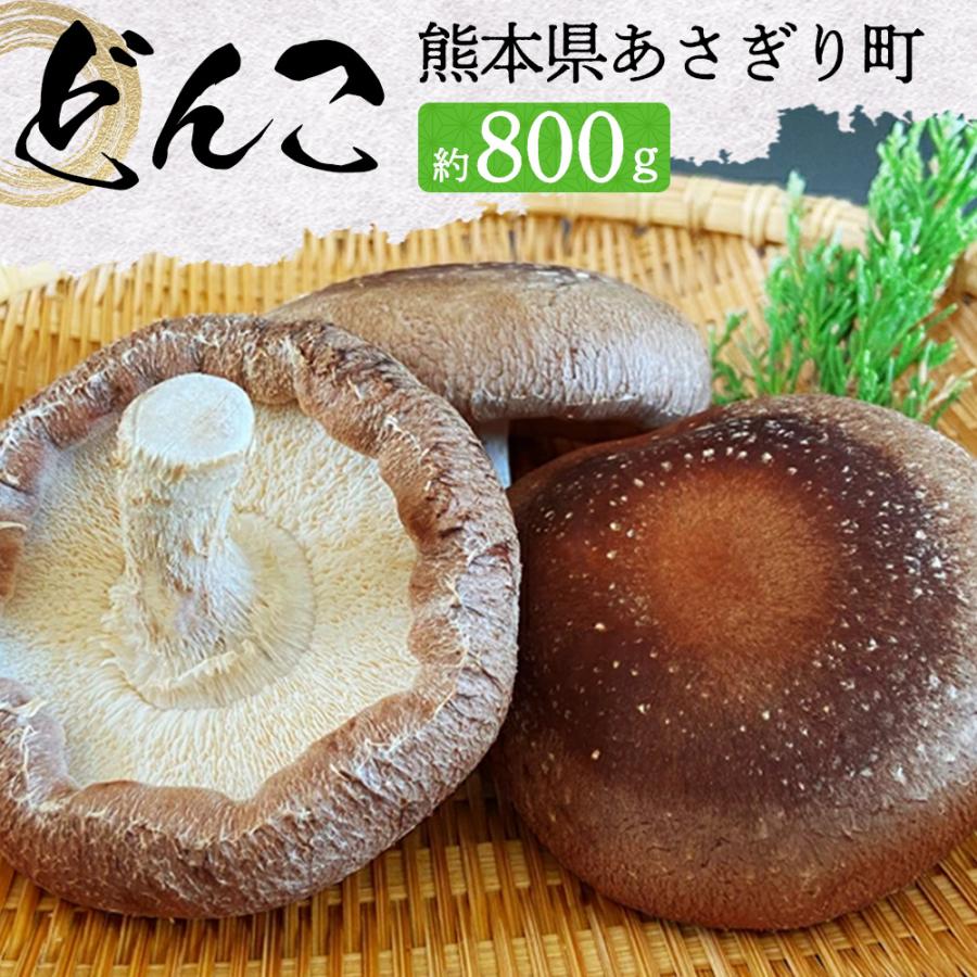 熊本県産 ステーキなどんこギフトBOX（国産 農薬不使用 しいたけ 肉厚 プレゼント）