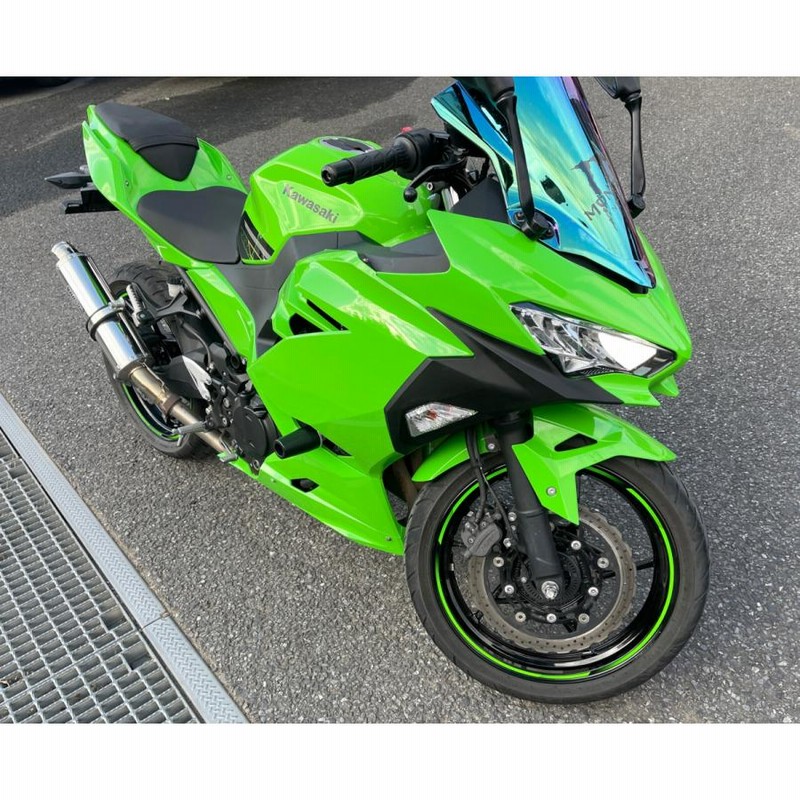 変更OK NINJA250r 才谷屋 アッパーカウル+ヘッドライトカバー | www