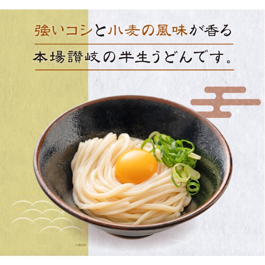 送料無料 半生うどん 9食 （300g×3）麺のみ 讃岐うどん ポイント利用 お試し ポイント消化 ご当地グルメ 食品 産直 おすすめ ポイント消費 食品 お取寄せ 香川