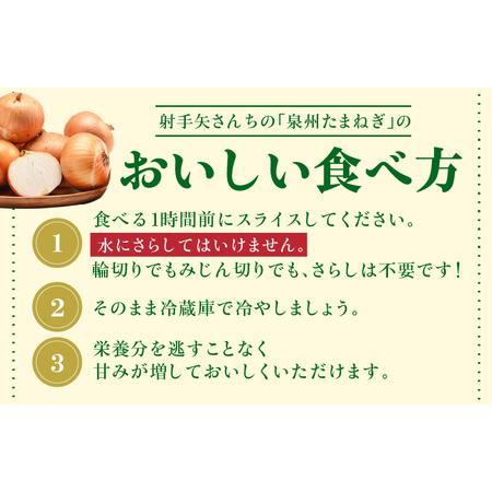 ふるさと納税 射手矢さんちの泉州プレミアムたまねぎ 10kg  大阪府泉佐野市