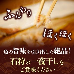 ふるさと納税 7-027 旨塩 いしかり一夜干しセット（カレイ・ホッケ・にしん・4枚入） 北海道石狩市