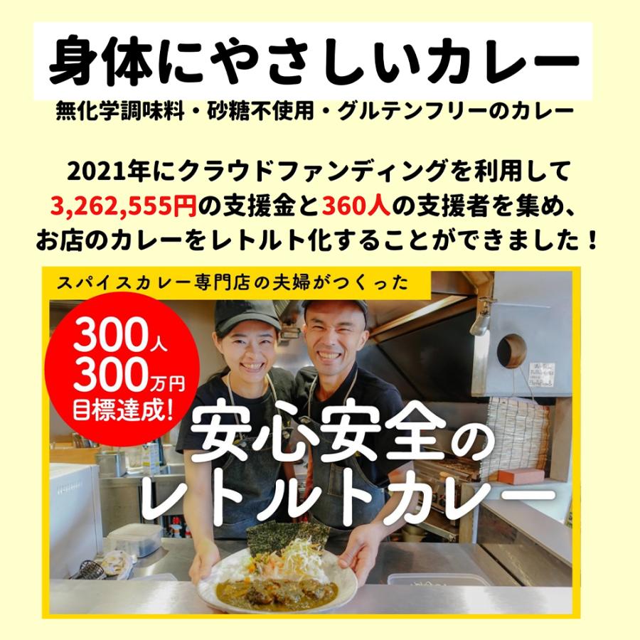 [2袋セット]昼飯屋 身体にやさしい 和だしチキンカレー 220g 送料無料