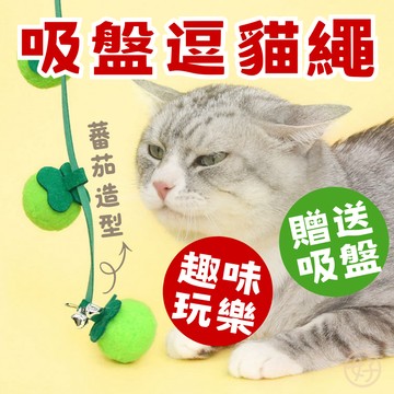 （番茄串❤️貓咪愛）貓玩具 貓咪逗貓繩 貓咪玩具 逗貓棒 逗貓繩 懸掛式逗貓繩 吸盤逗貓繩 毛絨球 寵物玩具 高雄寵物店