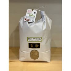 新米 令和5年産 小田原の米「栽培期間中農薬・化学肥料不使用 はるみ」玄米 15kg(5kg×3袋)