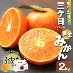 みかん 三ケ日 2kg ミカン 三ヶ日 2キロ mikan 早生 青島 高平農園 静岡県 農家直送 産地直送 果物 フルーツ プレゼント お歳暮 ギフト