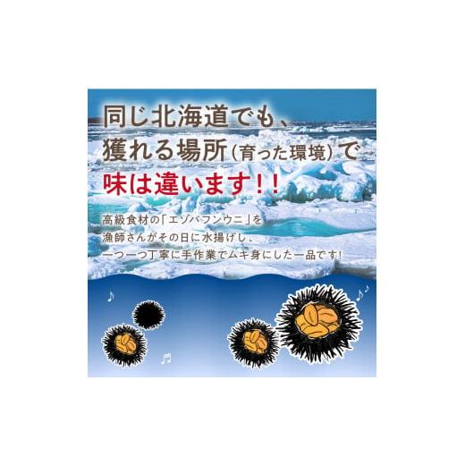 ふるさと納税 北海道 北見市 サロマ湖産 塩水生うに 海鮮 雲丹 うに ウニ 塩水 生ウニ 生うに ウニ丼 エゾバフンウニ …