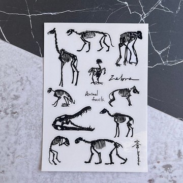 透明圖鑑貼紙-動物骨骼系列