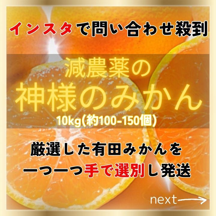 甘すぎ！有田みかん 早生 減農薬 産地直送 濃厚 甘い 高糖度 10kg 訳あり