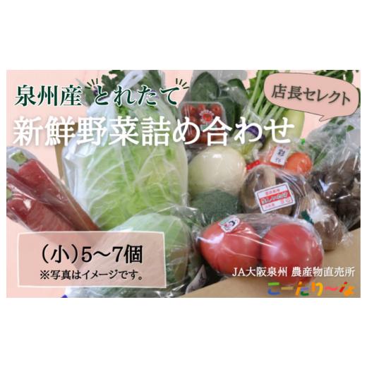 ふるさと納税 大阪府 泉佐野市 JA大阪泉州 直売所店長セレクト 季節の野菜セット 5個から7個 8kg以内