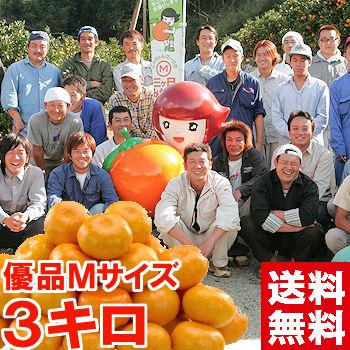 静岡県産 三ケ日みかん（青島）優品Mサイズ 3kg