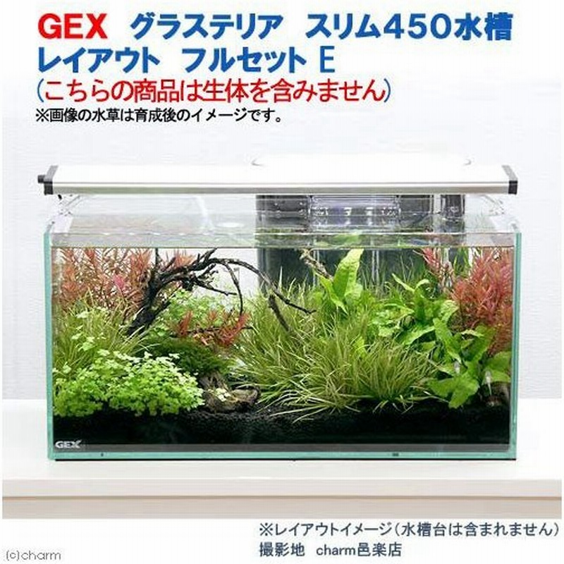 限定版 水槽フルセット 魚用品 水草 Www Sigweb Cl