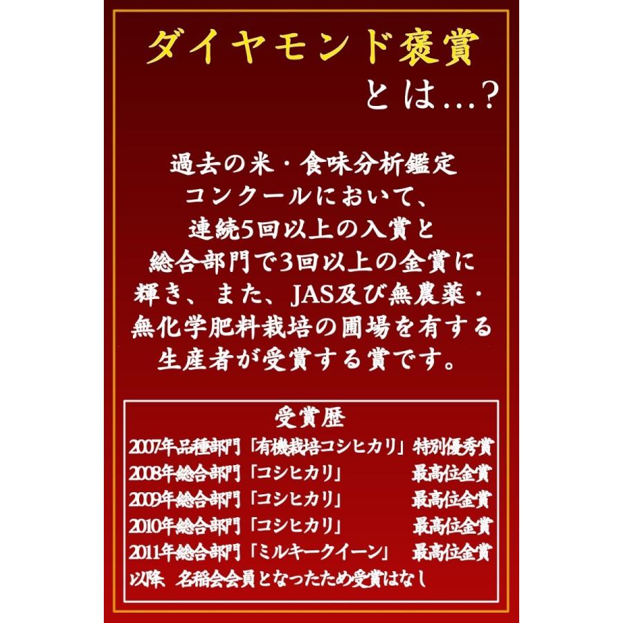 新米 令和5年産 玄米 30kg 送料無料 米 お米 コシヒカリ こしひかり 特別栽培米 野沢農産 長野県産 北信産 5kg ×6袋 ブナの水