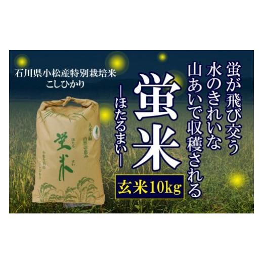 ふるさと納税 石川県 小松市 蛍米玄米10kg