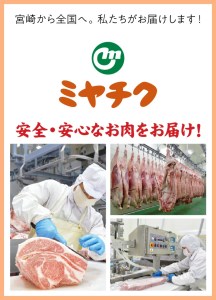 宮崎牛 モモスライス 400g 宮崎県産和牛小間切れ 100g 計500g　N0147-ZA163