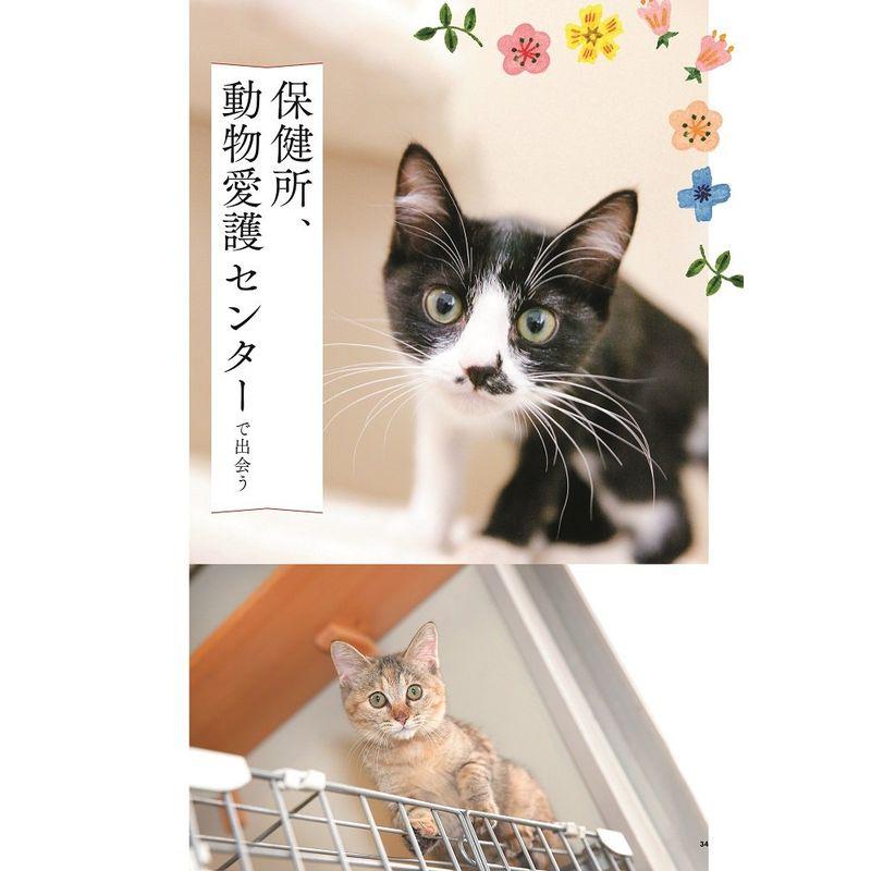 保護ねこのきもち