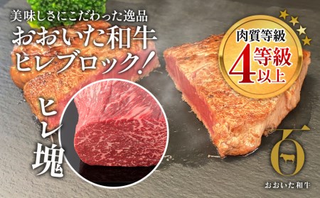 おおいた和牛 ヒレブロック約1kg 牛肉 和牛 豊後牛 国産牛 赤身肉 焼き肉 焼肉 大分県産 九州産 津久見市 国産